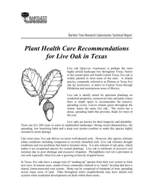 Plant Health Care Recommendations for Live Oak in Texas