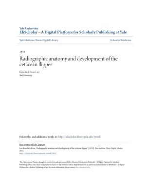 Radiographic Anatomy and Development of the Cetacean Flipper Kendrick Evan Lee Yale University