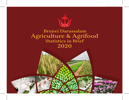 Agriculture and Agrifood Statistic 2020