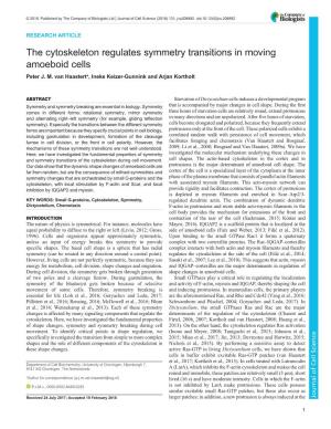 The Cytoskeleton Regulates Symmetry Transitions in Moving Amoeboid Cells Peter J