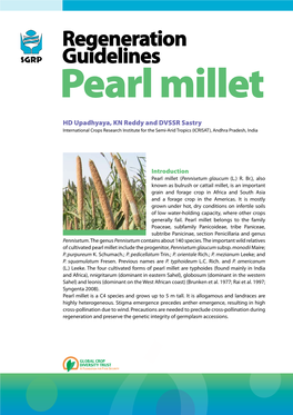 Regeneration Guidelines for Pearl Millet