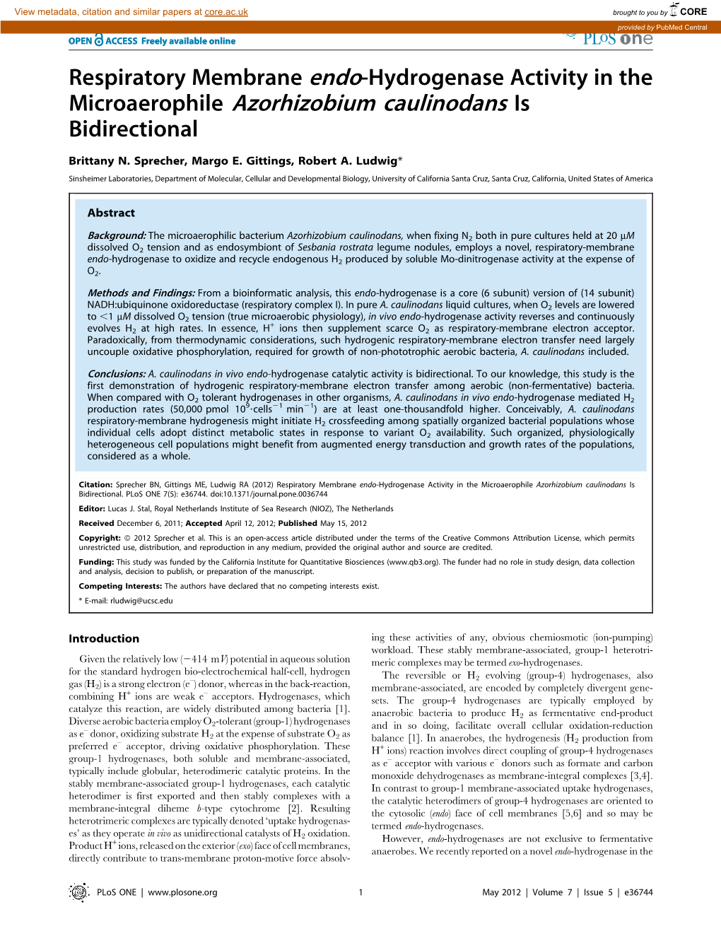 Microaerophile Azorhizobium Caulinodans Is Bidirectional