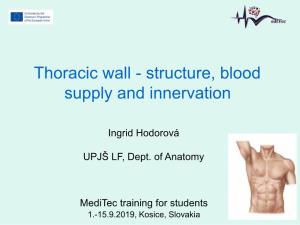 Human Anatomy: Thoracic Wall