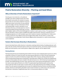 Prairie Restoration Diversity – Planting and Seed Mixes