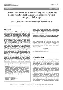 The Root Canal Treatment in Maxillary and Mandibular Molars with Five Root Canals: Two Case Reports with Two Years Follow Up