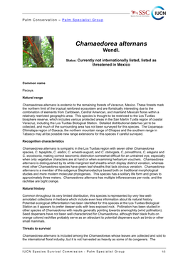 Chamaedorea Alternans Conservation Fact Sheet