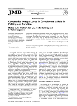 Cooperative Omega Loops in Cytochrome C: Role in Folding and Function