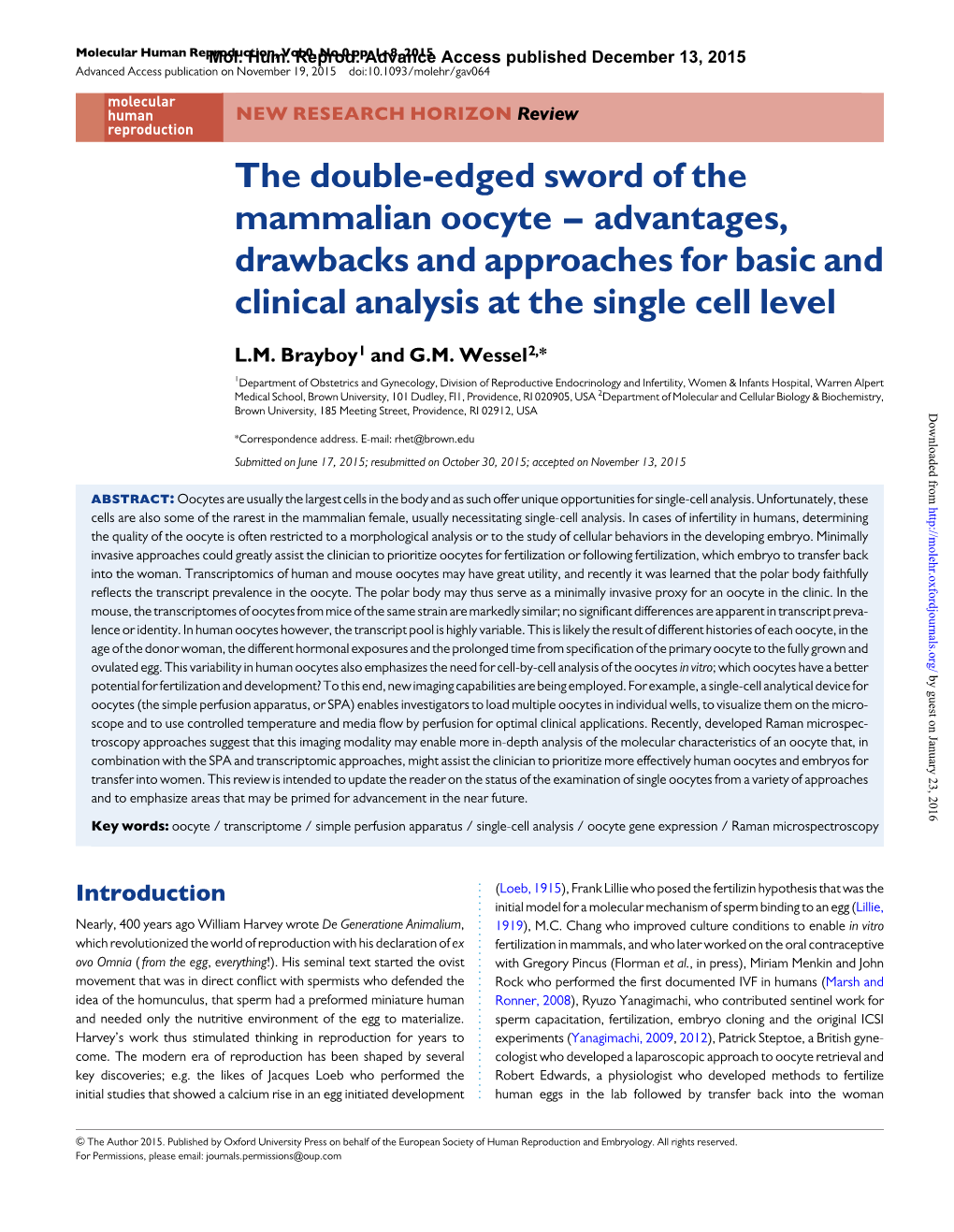 The Double-Edged Sword of the Mammalian Oocyte – Advantages, Drawbacks and Approaches for Basic and Clinical Analysis at the Single Cell Level