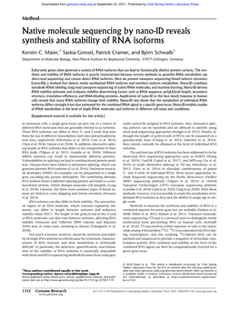 Native Molecule Sequencing by Nano-ID Reveals Synthesis and Stability of RNA Isoforms
