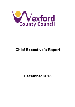 Chief Executive's Report