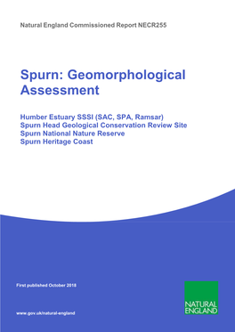 Spurn: Geomorphological Assessment