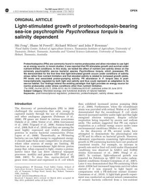 Light-Stimulated Growth of Proteorhodopsin-Bearing Sea-Ice Psychrophile Psychroflexus Torquis Is Salinity Dependent