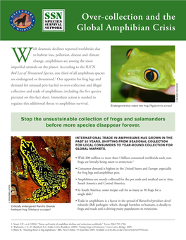 Over-Collection and the Global Amphibian Crisis