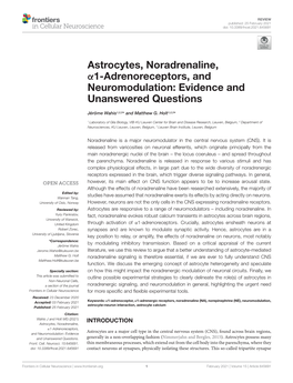 Astrocytes, Noradrenaline, Α1-Adrenoreceptors, and Neuromodulation: Evidence and Unanswered Questions
