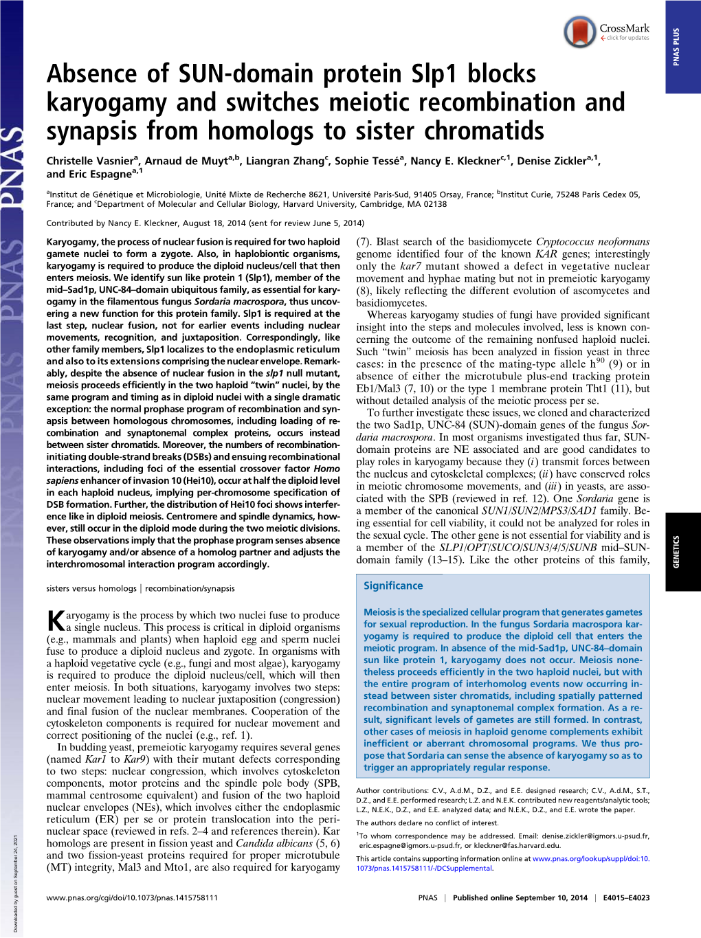 Absence of SUN-Domain Protein Slp1 Blocks Karyogamy and Switches