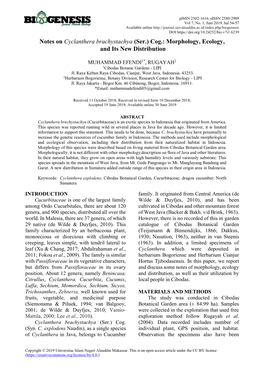 Notes on Cyclanthera Brachystachya (Ser.) Cog.: Morphology, Ecology, and Its New Distribution