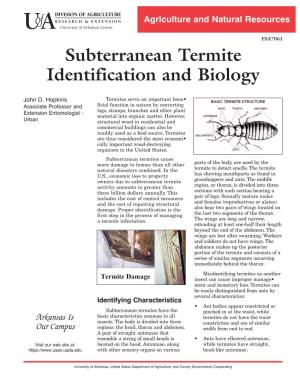 Subterranean Termite Identification and Biology