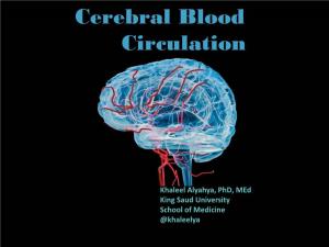 Superficial Middle Cerebral Vein SUPERFICIAL CORTICAL VEINS O Superior Cerebral Veins