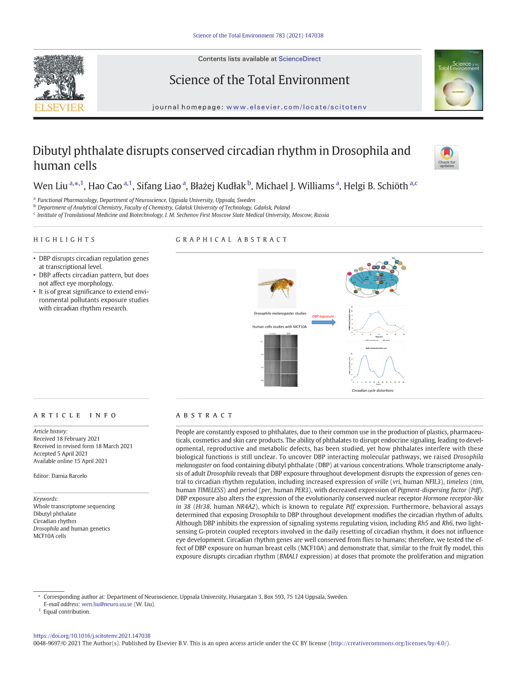 Dibutyl Phthalate Disrupts Conserved Circadian Rhythm in Drosophila and Human Cells