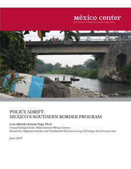 Mexico's Southern Border Program