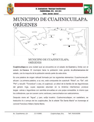 Municipio De Cuajinicuilapa. Orígenes