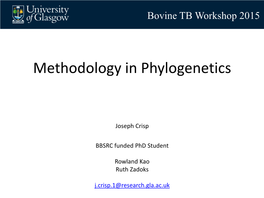 Methodology in Phylogenetics