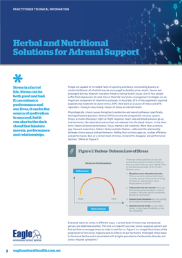 Herbal and Nutritional Solutions for Adrenal Support