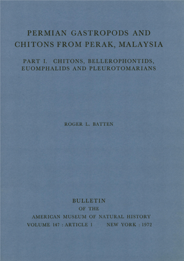 Chitonis from Perak, Malaysia