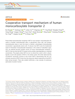Cooperative Transport Mechanism of Human Monocarboxylate Transporter 2
