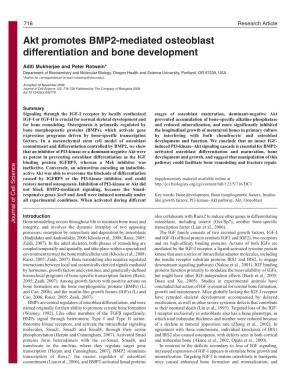 Akt Promotes BMP2-Mediated Osteoblast Differentiation and Bone Development