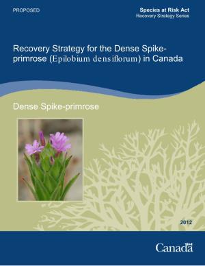 Recovery Strategy for the Dense Spike- Primrose (Epilobium Densiflorum) in Canada