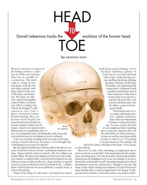 Head to Daniel Lieberman Tracks the Evolution of the Human Head