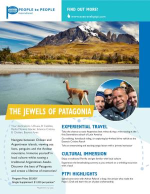 The Jewels of Patagonia