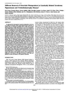Different Removal of Ultraviolet Photoproducts in Genetically Related Xeroderma Pigmentosum and Trichothiodystrophy Diseases1