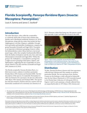 Florida Scorpionfly, Panorpa Floridana Byers (Insecta: Mecoptera: Panorpidae) 1