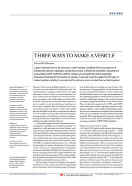 Three Ways to Make a Vesicle