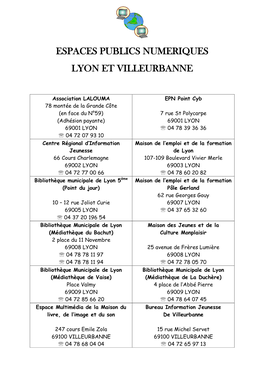 Espaces Publics Numeriques Lyon Et Villeurbanne
