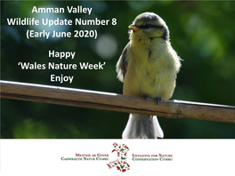 June-2020-Amman-Valley-Wildlife-Newsletter