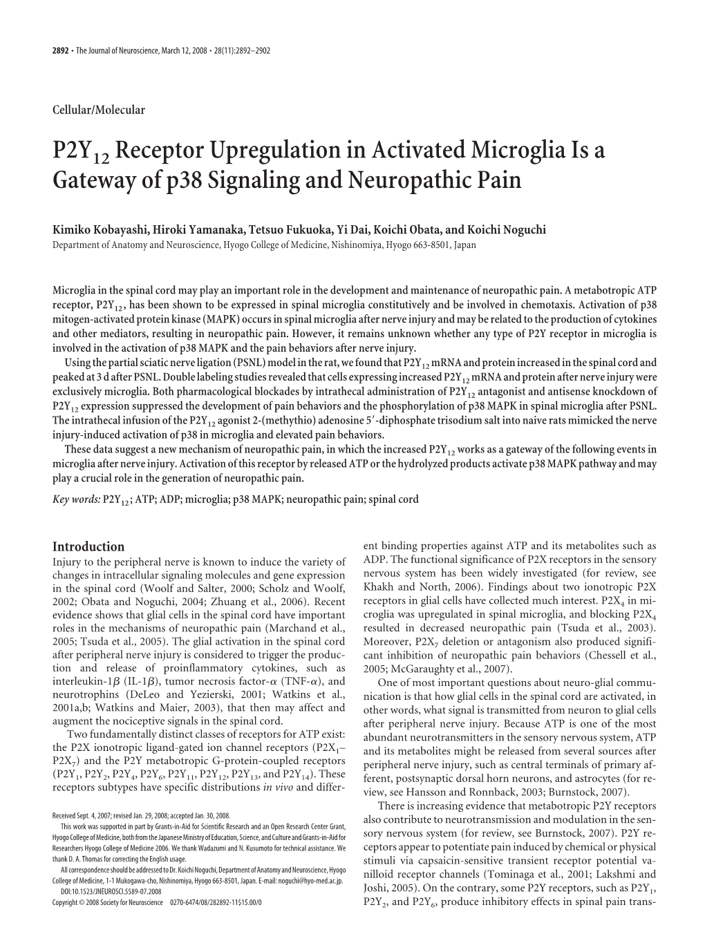 P2Y12 Receptor Upregulation in Activated Microglia Is a Gateway of P38 Signaling and Neuropathic Pain