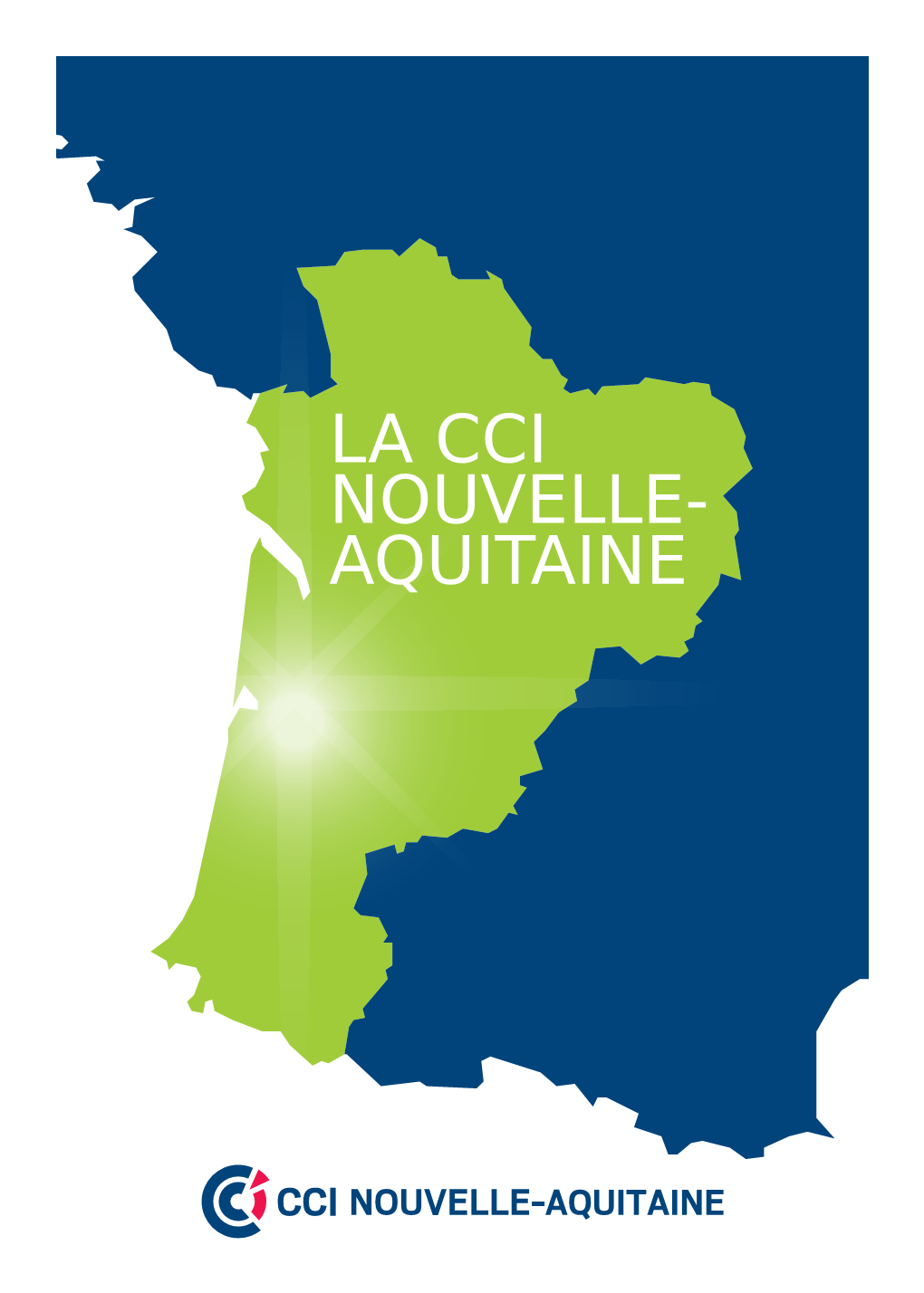 La CCI Nouvelle Aquitaine : Vision D'avenir