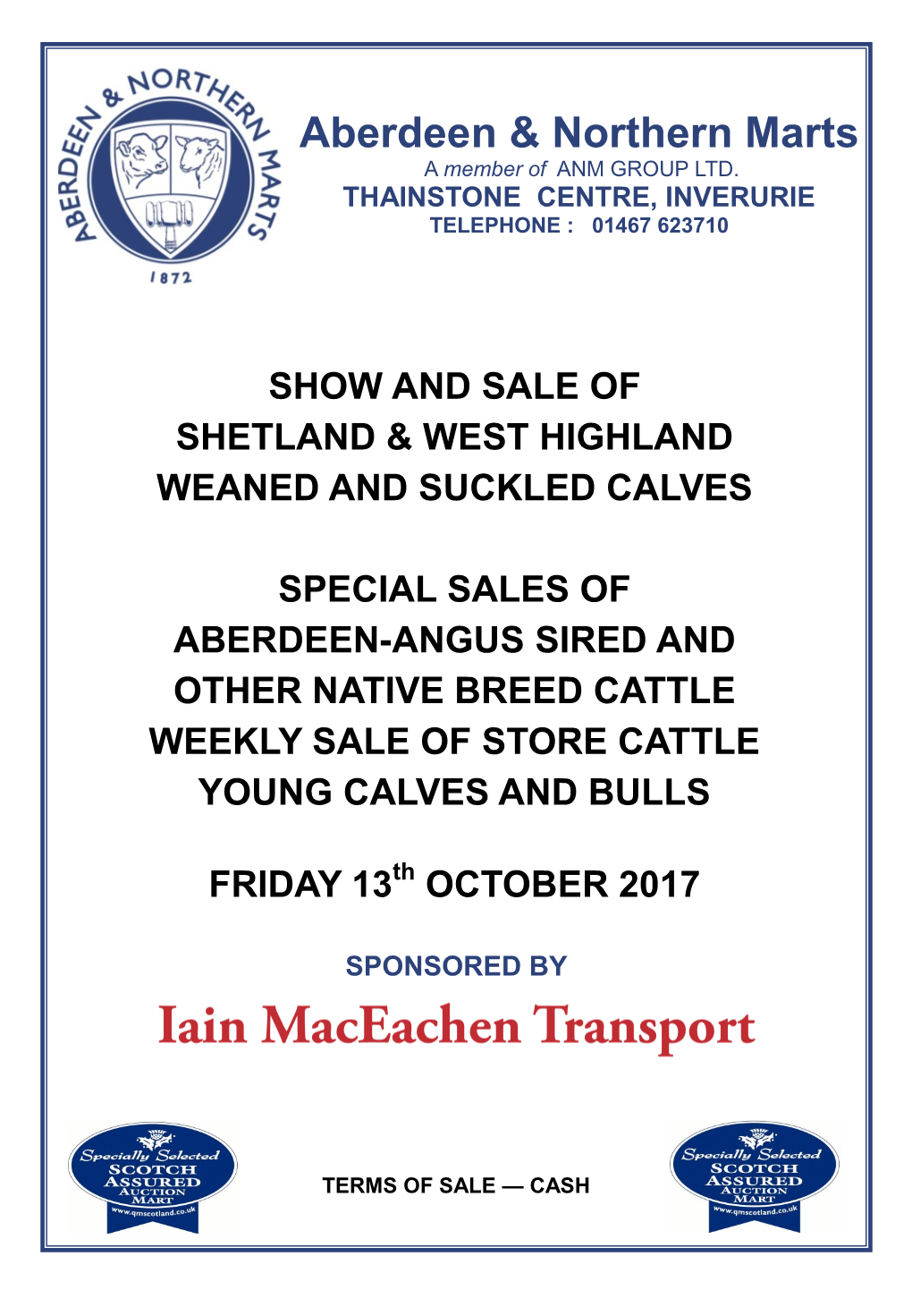 Shetland & West Highland Calves