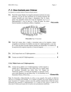F. 2. Clave Ilustrada Para Ordenes Los Números En Corchetes Indican El Número Del Paso Anterior