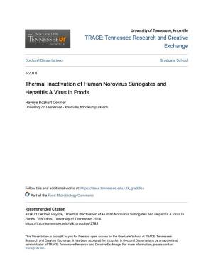Thermal Inactivation of Human Norovirus Surrogates and Hepatitis a Virus in Foods