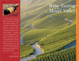 Wine Tasting Mosel Valley