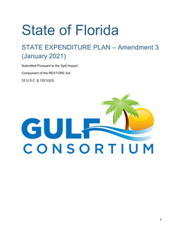Florida SEP Amendment 3