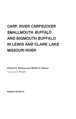 Carp, River Carpsucker Smallmouth Buffalo and Bigmouth Buffalo in Lewis and Clark Lake Missouri River