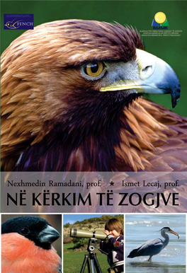 Në Kërkim Të Zogjëve