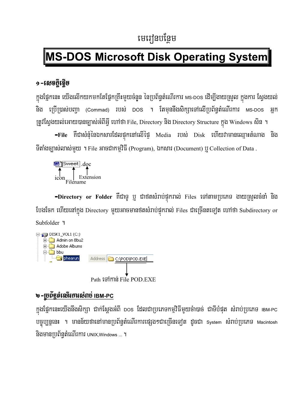 MS-DOS Microsoft Disk Operating System