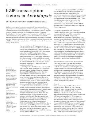 Bzip Transcription Factors in Arabidopsis