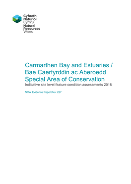 Carmarthen Bay and Estuaries / Bae Caerfyrddin Ac Aberoedd Special Area of Conservation Indicative Site Level Feature Condition Assessments 2018